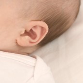 Baby's Ear