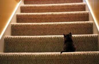 8effbead57055d2f50e1899f90cedb25